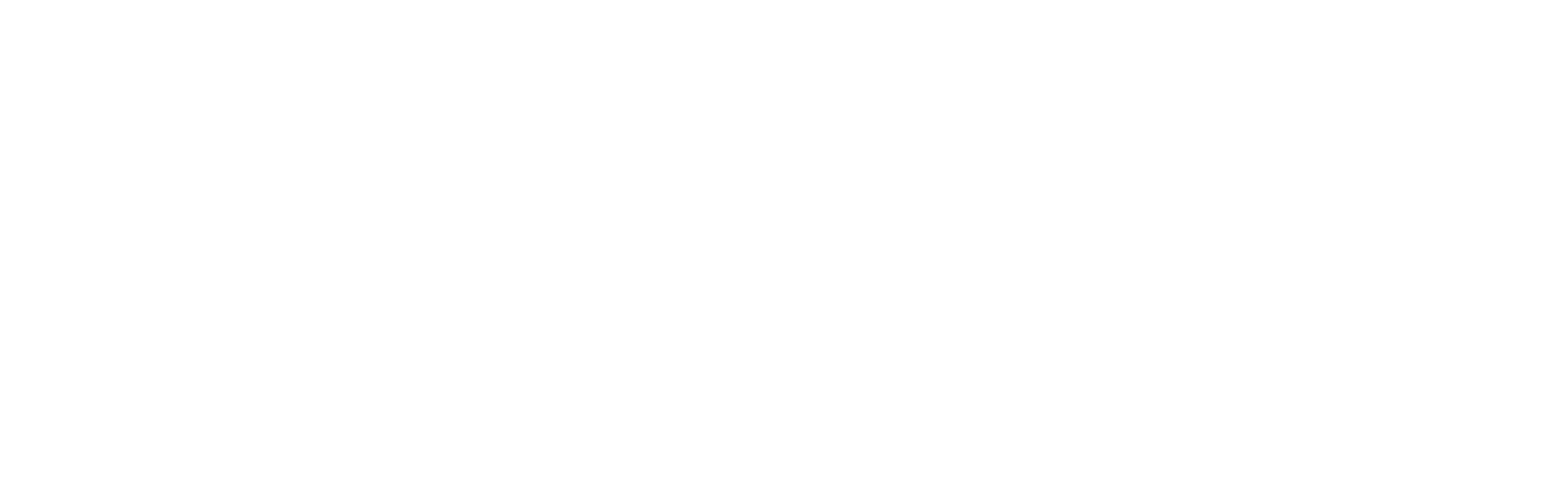 Rowing Precision logo: white